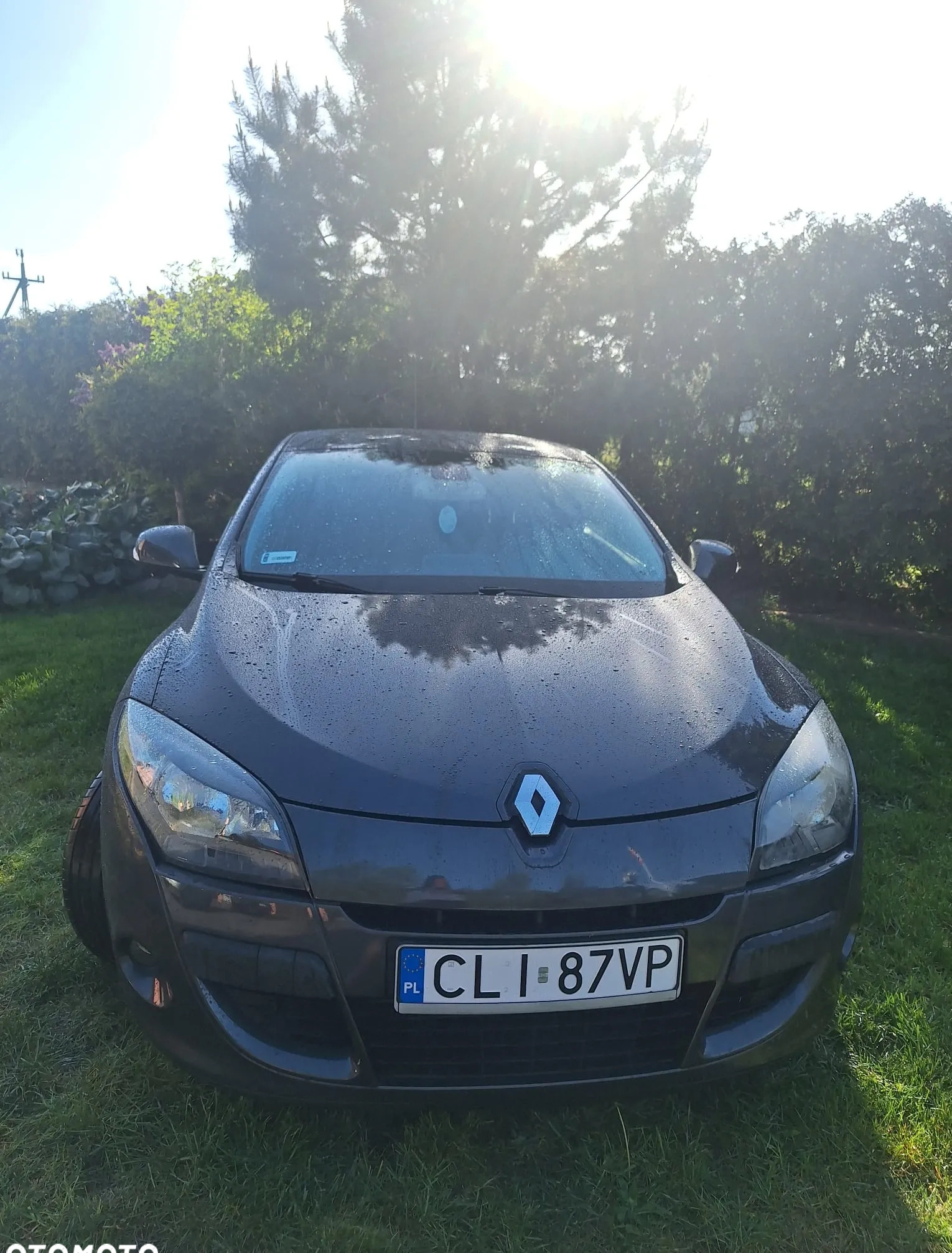 Renault Megane cena 20500 przebieg: 156523, rok produkcji 2009 z Lipno małe 121